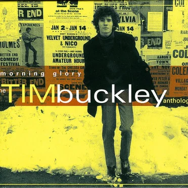 Morning Glory: The Tim Buckley Anthology