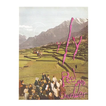 Peel and Shudder by Y/Y - album cover