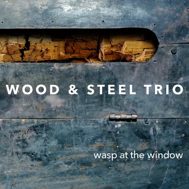Wasp at the Window by Wood and Steel Trio - album cover