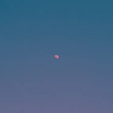 But There's Still the Moon