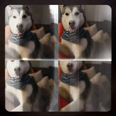 Them Dogs by Their / They're / There - album cover