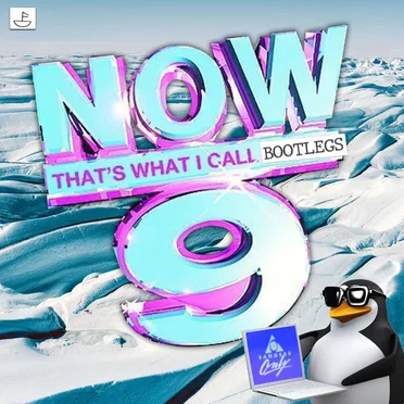 Now That’s What I Call Bootlegs, Volume 9 by Various Artists - album cover