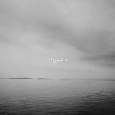 dagbók 3