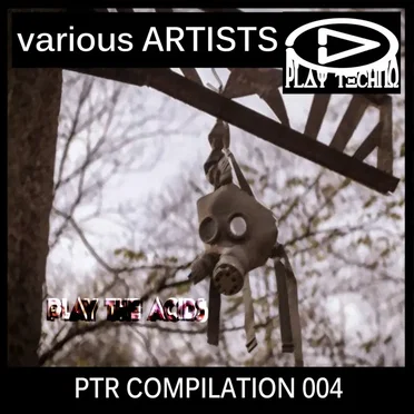 Play The Acids by Various Artists - album cover
