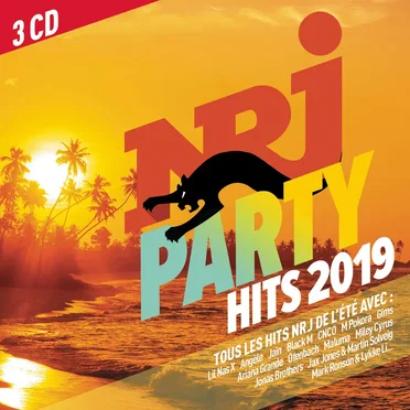 NRJ Party Hits 2019 by Various Artists - album cover