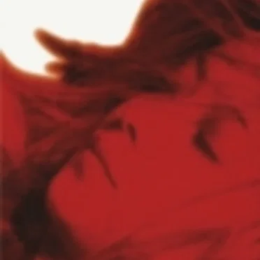 Concentration 20 Live in Tokyo Dome
