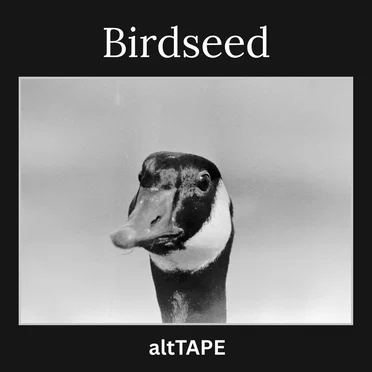 Birdseed by altTAPE - album cover