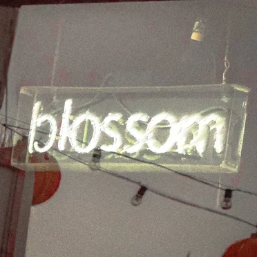 blossom