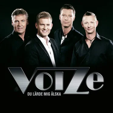 Du lärde mig älska by Voize - album cover