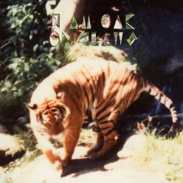 On Claws by I Am Oak - album cover