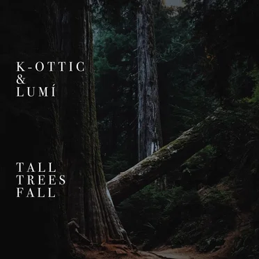 Tall Trees Fall