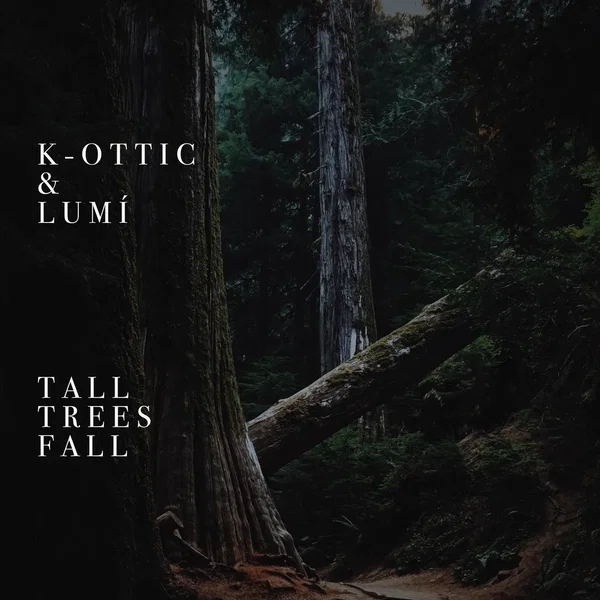 Tall Trees Fall