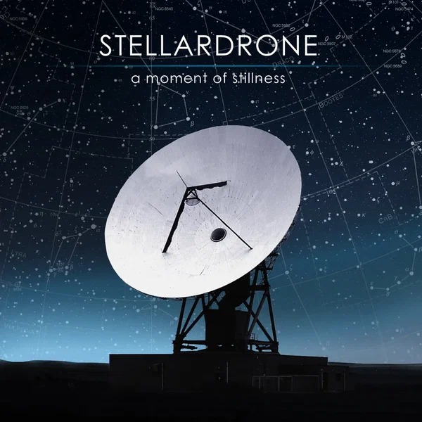 A Moment of Stillness
