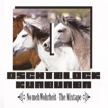 No meh Wohrheit: the Mixtape by Oschtblock Kuabuaba - album cover