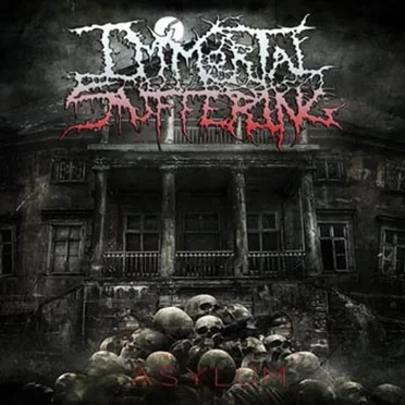 Asylum by Immortal Suffering - album cover