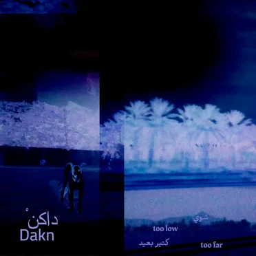Too Low, Too Far by Dakn - album cover