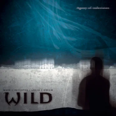 Agony of Indecision by W.I.L.D. - album cover