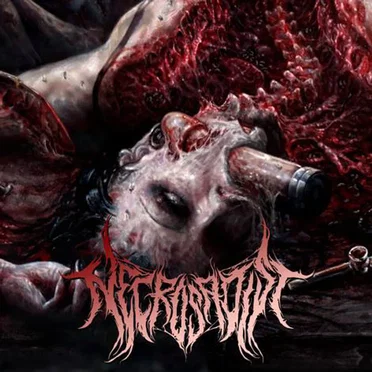 Promo 2013 by Necrosadist - album cover