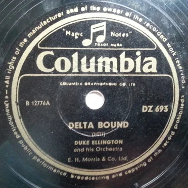 Delta Bound / Indigo Echoes