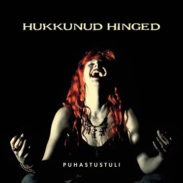 Puhastustuli by Hukkunud Hinged - album cover