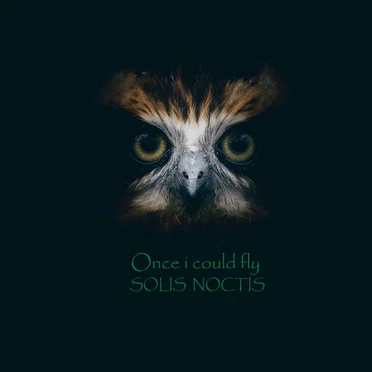 Once i could fly by Solis Noctis - album cover