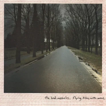 Flying Kites With Mice by The Bad Motels - album cover