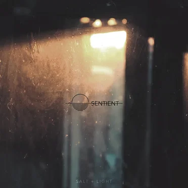 Salt + Light by Sentient - album cover