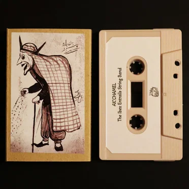 Transitory Collection Vol II
