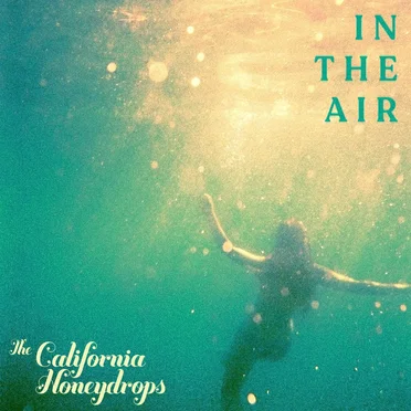 In The Air by The California Honeydrops - album cover