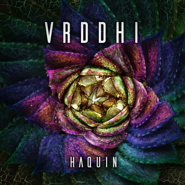Vrddhi