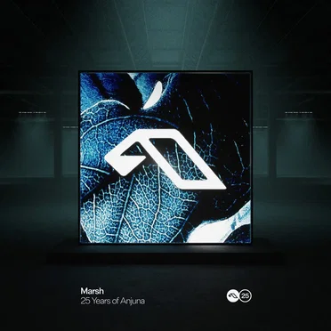 25 Years of Anjuna Mixed by Marsh by Various Artists - album cover