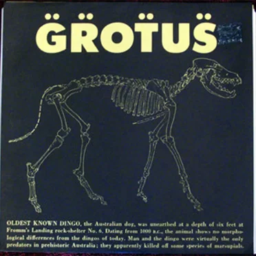 Grotus by Grotus - album cover