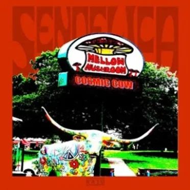 The Mellow Mushroom Cosmic Cow