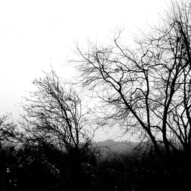 A Landscape to a Blind Man's Eye by Buenos Aires - album cover