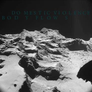 Body Flows by Domestic Violence - album cover
