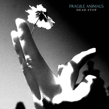 Dead Stop by Fragile Animals - album cover