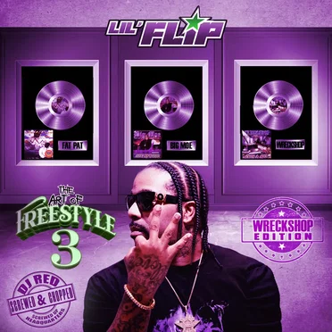 The Art of Freestyle 3