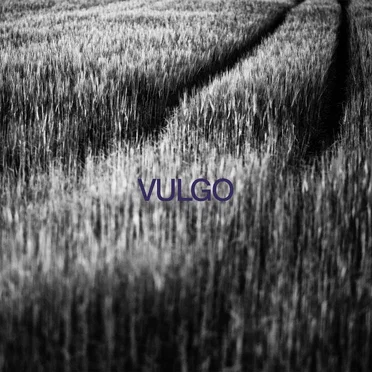 Vulgo