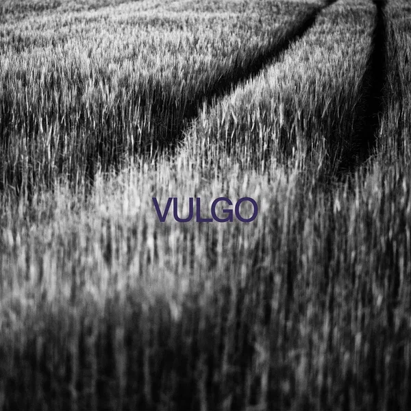 Vulgo