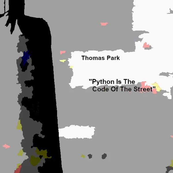 Python Is The Code Of The Street