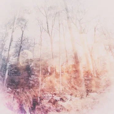 Arboretum by Poemme - album cover