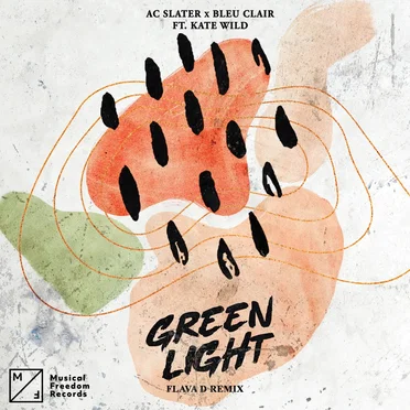 Green Light (Flava D remix)