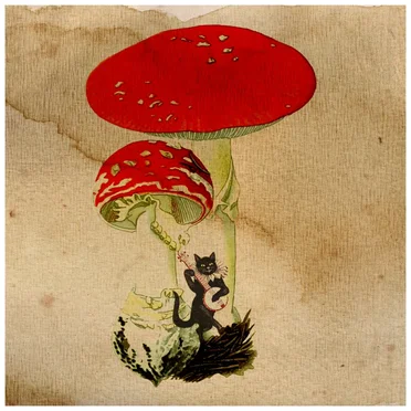 Seasons by The Oak in the Woods - album cover