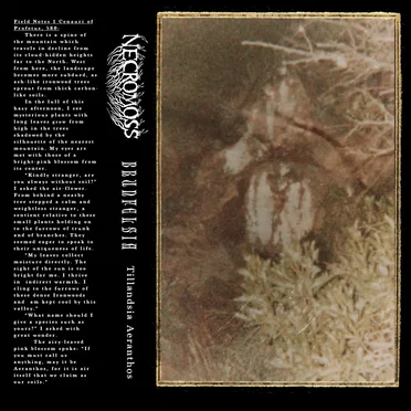 Tillandsia Aeranthos by Necromoss - album cover