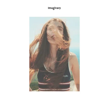 Imaginary