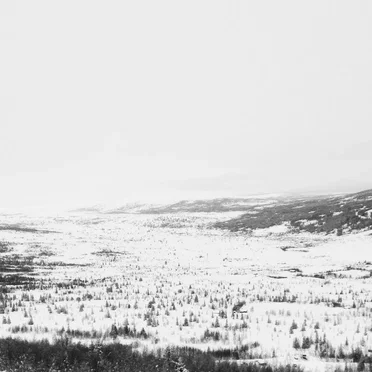 Hundrede Træer (Analogue Dear Rework)