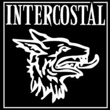 Demo XXIIM by Intercostal - album cover