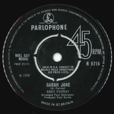 Sarah Jane / Don't Care Anymore by Andy Forray - album cover