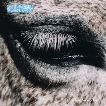 This Is Why We Lost by Smag På Dig Selv - album cover