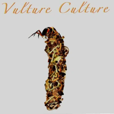 Vulture Culture
